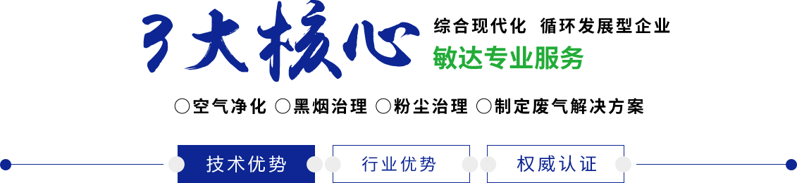 鸡巴大鸡巴美女被操骚敏达环保科技（嘉兴）有限公司